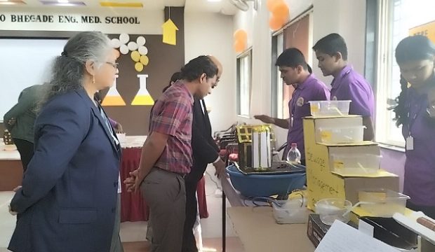 Science art Craft Exhibition (5)