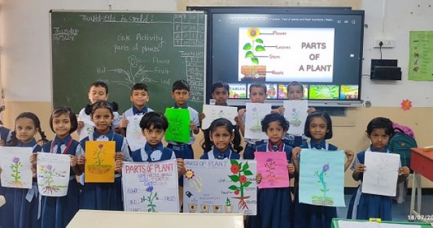 std 1st topic plant activity (1)