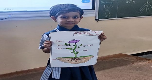 std 1st topic plant activity (2)