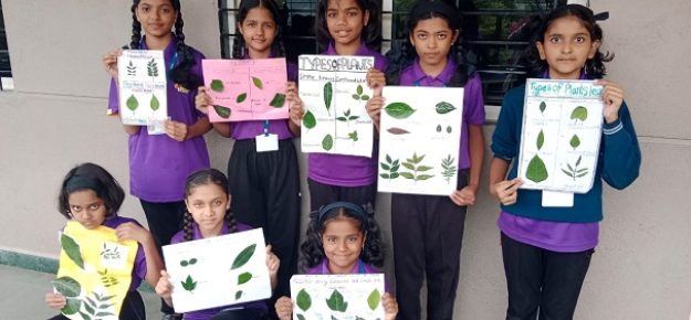 six th class science activity