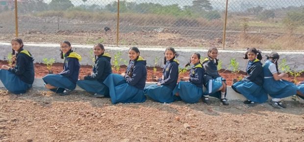 Plantation Drive (12)