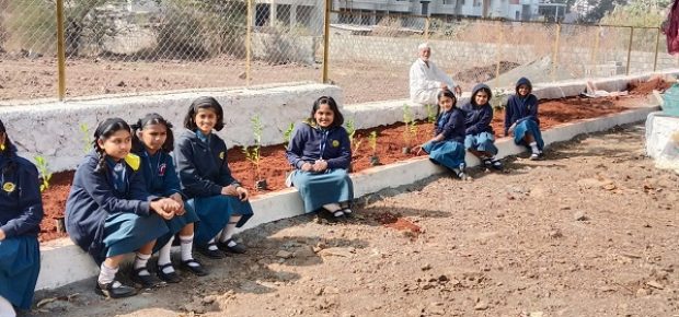 Plantation Drive (14)