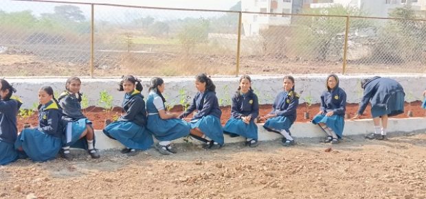 Plantation Drive (15)