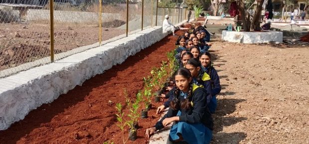 Plantation Drive (17)