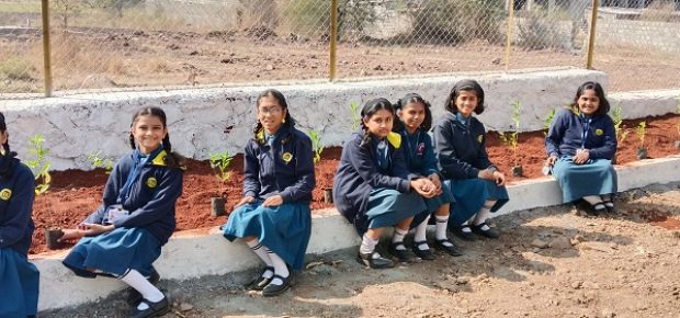 Plantation Drive (7)