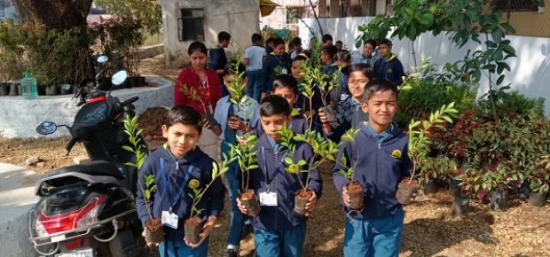 Plantation Drive (8)