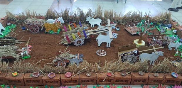 Science Exibition (3)